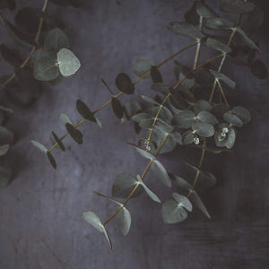 True Grace Diffuser - Rosemary & Eucalyptus