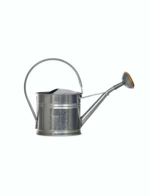 1l galvanised watering can